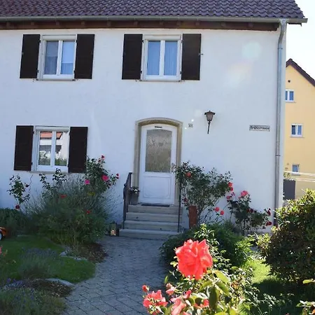 Pusteblume Leutkirch im Allgau