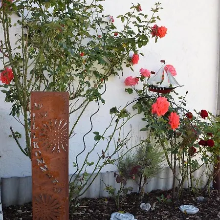 Hébergement de vacances Pusteblume